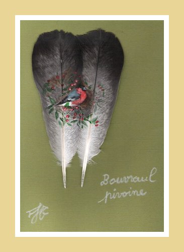 Plume 01