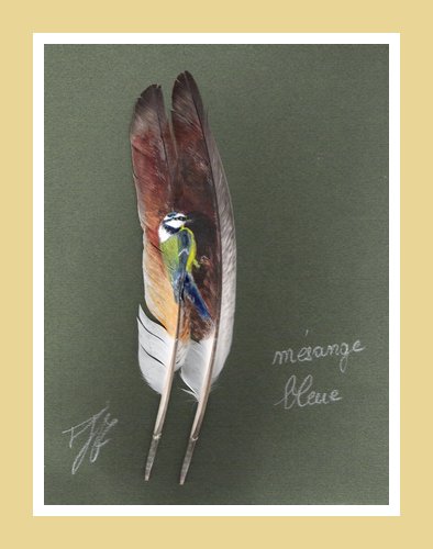 Plume 02