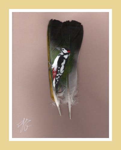 Plume 05