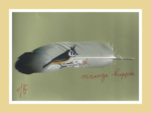 Msange huppe